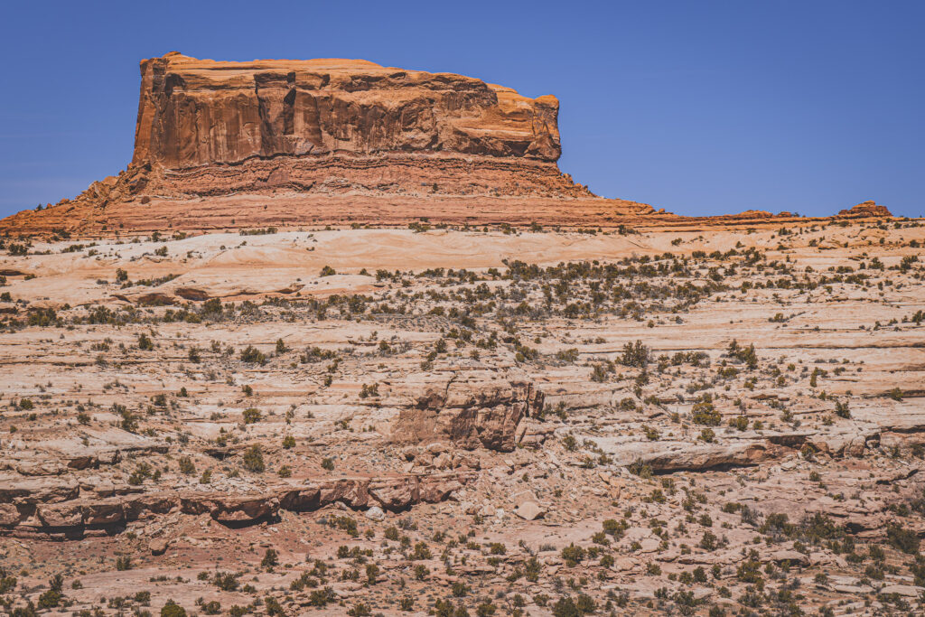 EnviraGallery-usatrip2022-08. April 2022 - IRN06220-Verbessert-RR- 24.jpg