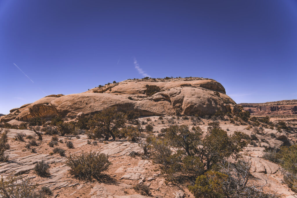 EnviraGallery-usatrip2022-08. April 2022 - IRN06223-Verbessert-RR- 25.jpg