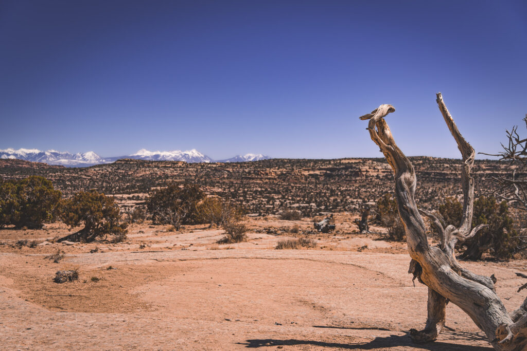 EnviraGallery-usatrip2022-08. April 2022 - IRN06225-Verbessert-RR- 26.jpg