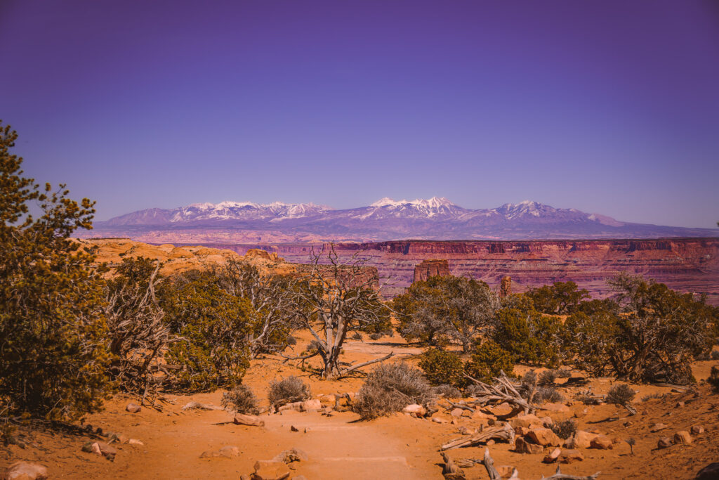 EnviraGallery-usatrip2022-08. April 2022 - IRN06226-Verbessert-RR- 27.jpg