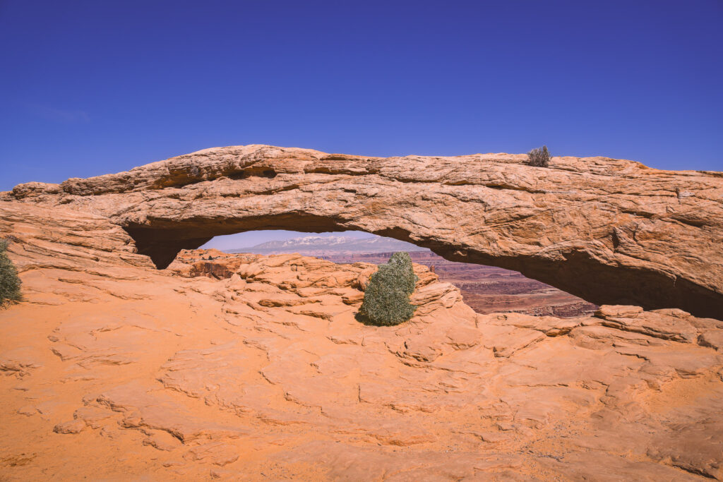 EnviraGallery-usatrip2022-08. April 2022 - IRN06230-Verbessert-RR- 29.jpg