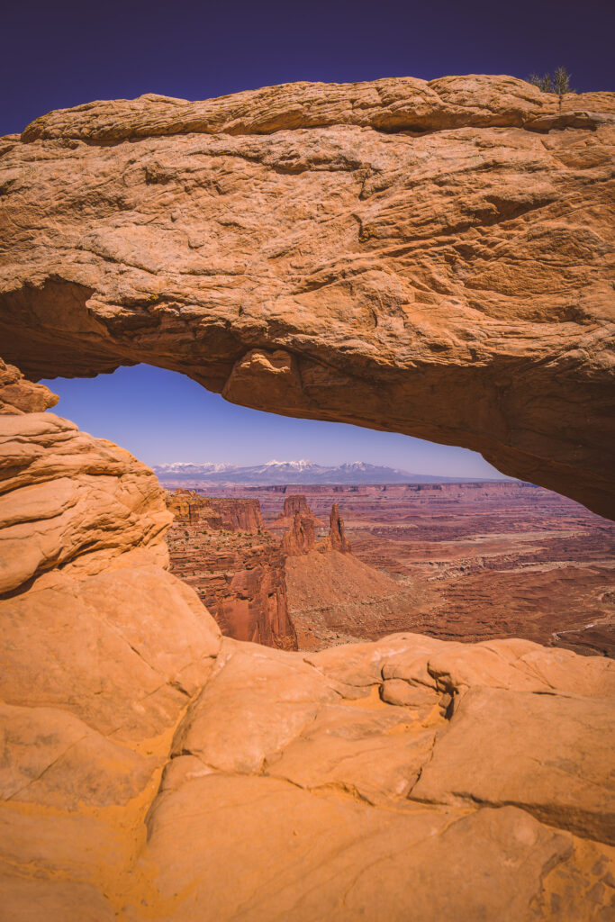 EnviraGallery-usatrip2022-08. April 2022 - IRN06231-Verbessert-RR- 30.jpg