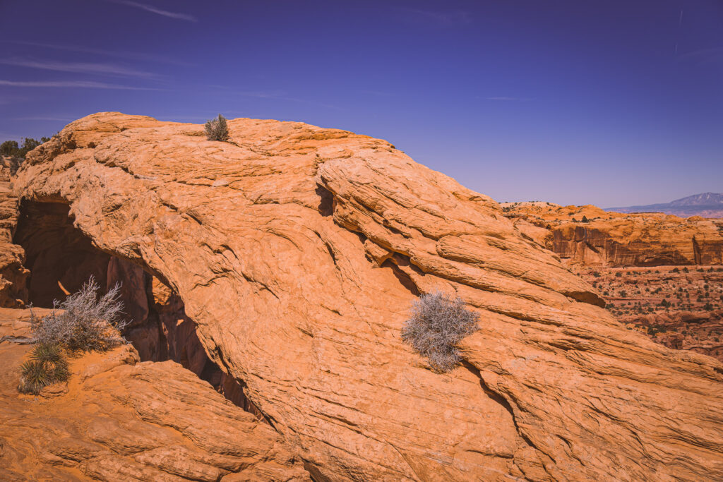 EnviraGallery-usatrip2022-08. April 2022 - IRN06235-Verbessert-RR- 35.jpg