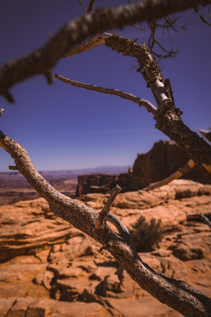 EnviraGallery-usatrip2022-08. April 2022 - IRN06253-Verbessert-RR- 43.jpg