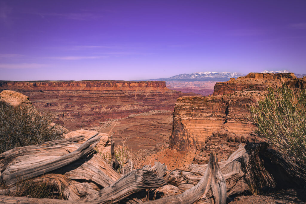 EnviraGallery-usatrip2022-08. April 2022 - IRN06269-Verbessert-RR- 50.jpg