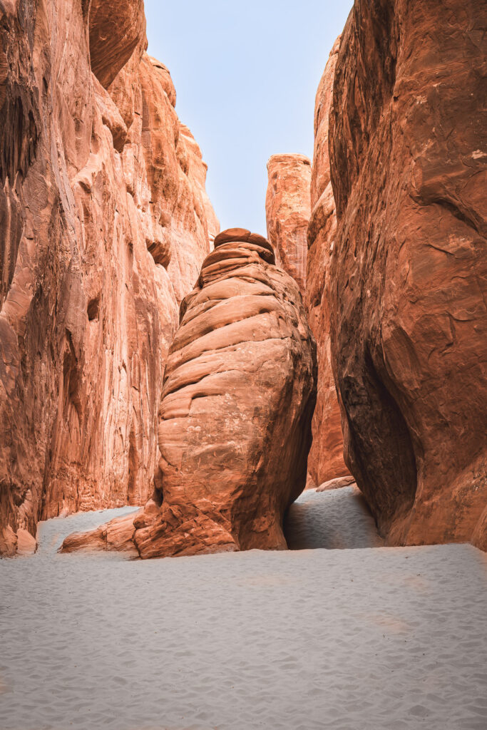 EnviraGallery-usatrip2022-10. April 2022 - IRN06455-Verbessert-RR- 24.jpg