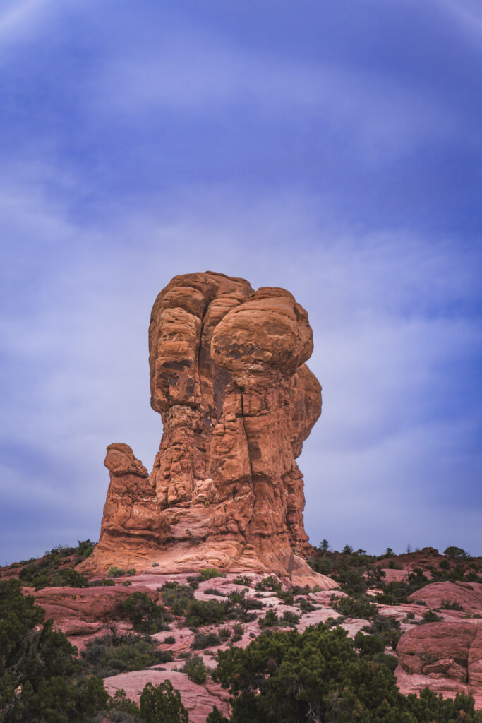 EnviraGallery-usatrip2022-10. April 2022 - IRN06473-Verbessert-RR- 27.jpg