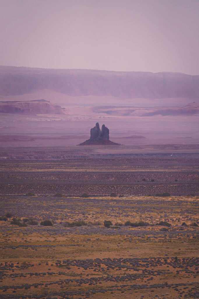 EnviraGallery-usatrip2022-11. April 2022 - IRN06518-Verbessert-RR- 17.jpg