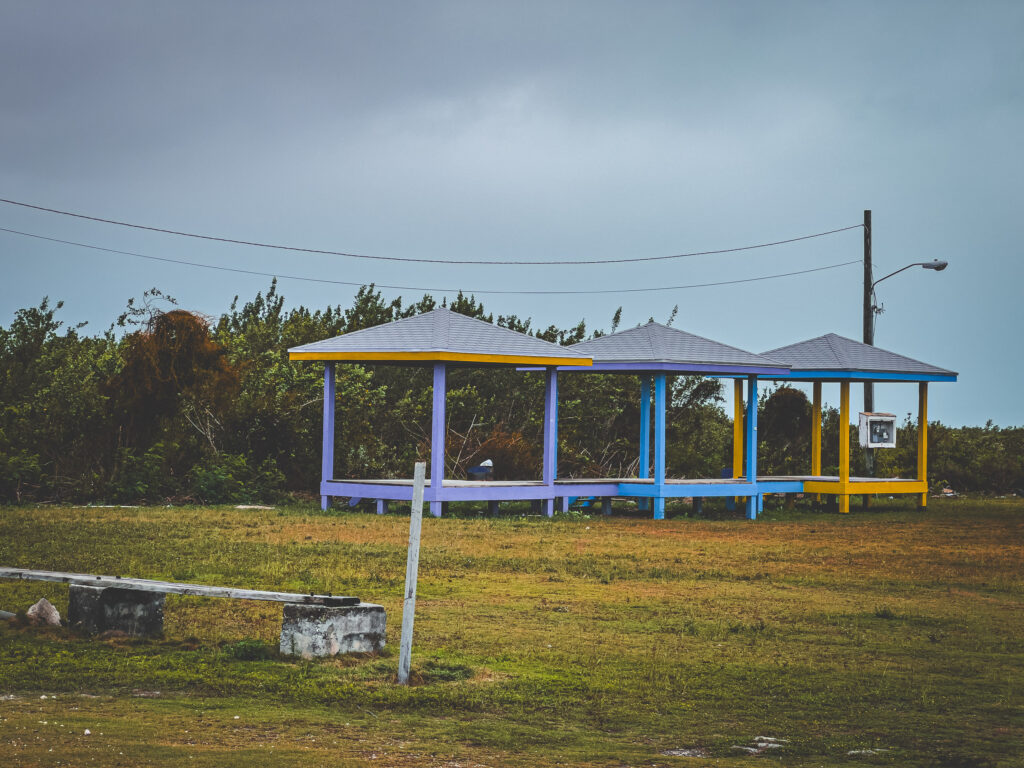 EnviraGallery-usatrip2022-13. März 2022 - IMG_004458- 27.jpg