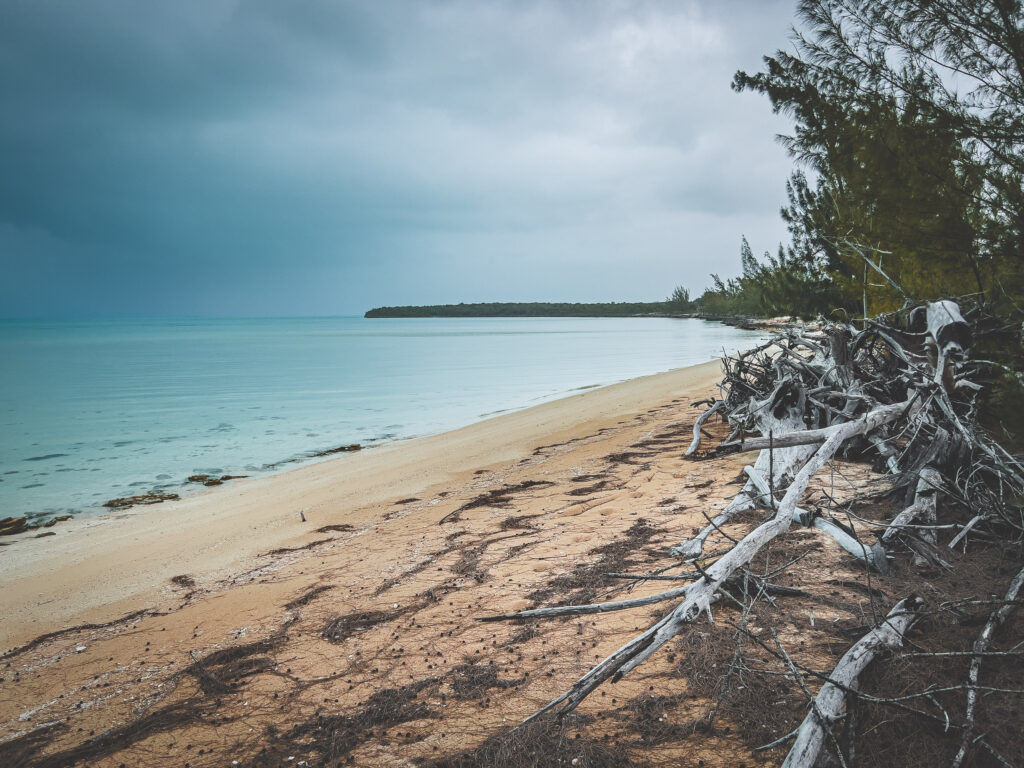 EnviraGallery-usatrip2022-13. März 2022 - IMG_004461- 31.jpg