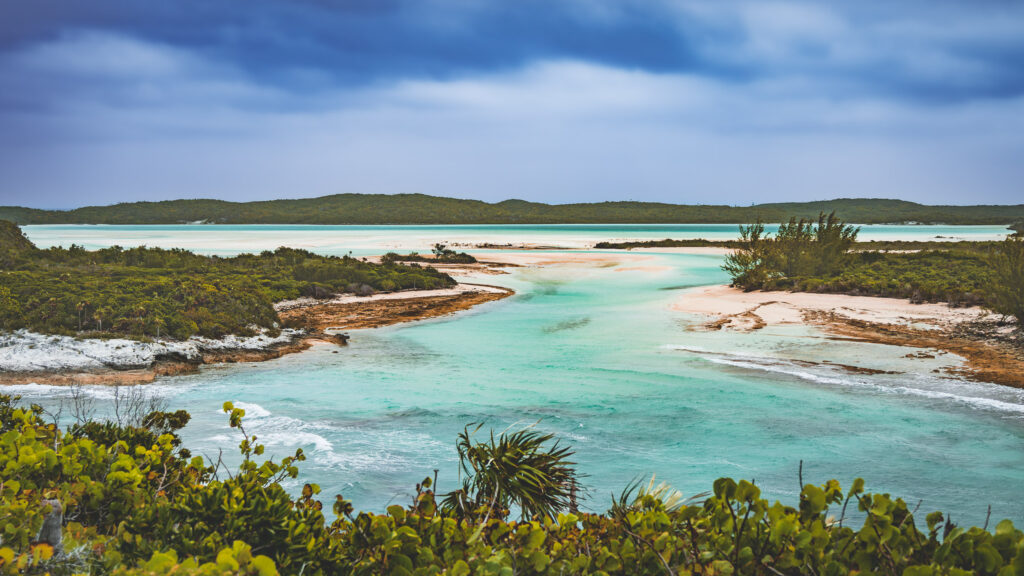 EnviraGallery-usatrip2022-13. März 2022 - IRN04647-Verbessert-RR- 13.jpg