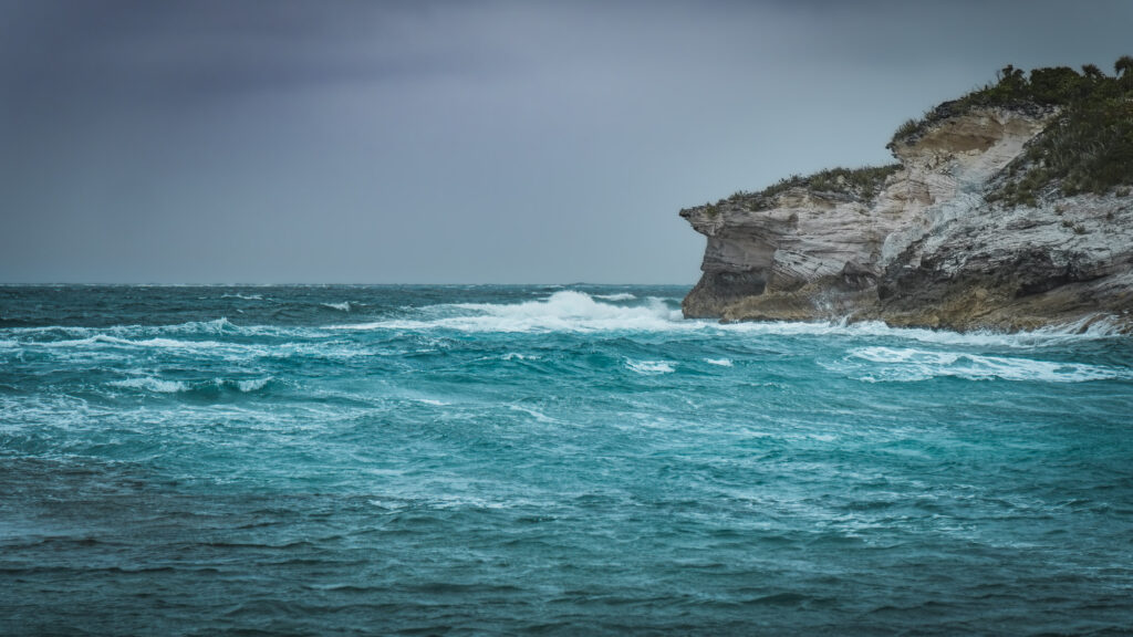 EnviraGallery-usatrip2022-13. März 2022 - IRN04660-Verbessert-RR- 17.jpg