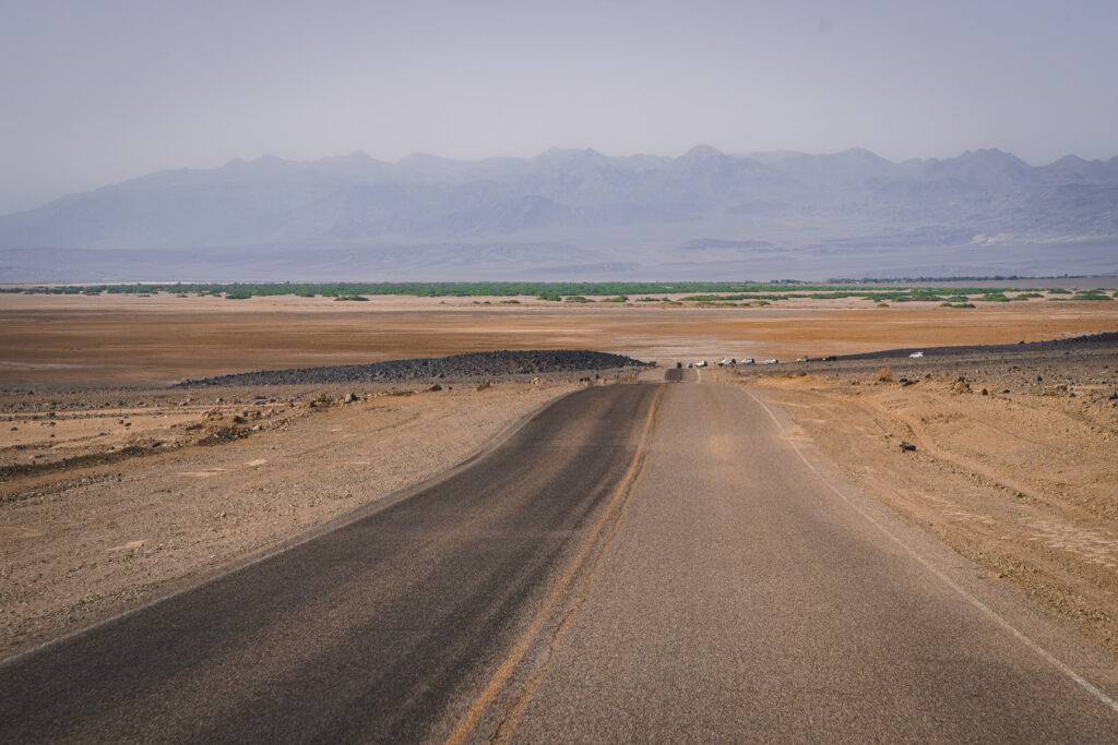 EnviraGallery-usatrip2022-16. April 2022 - IRN06761-Verbessert-RR- 07.jpg