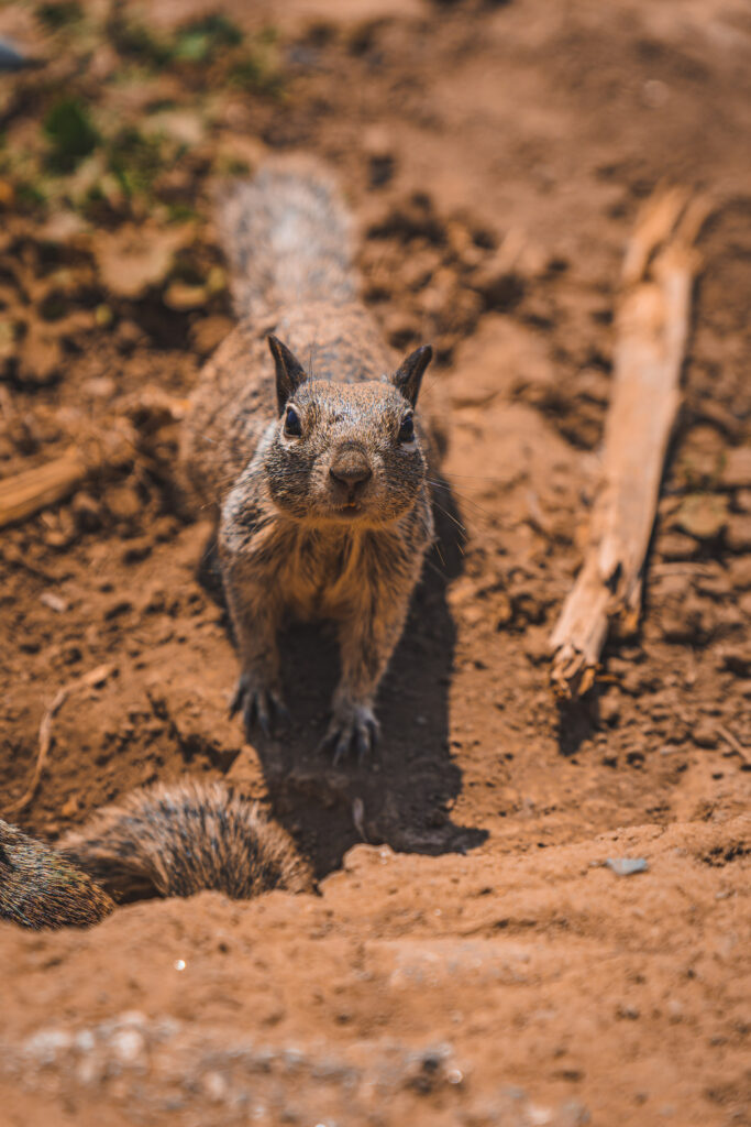 EnviraGallery-usatrip2022-17. April 2022 - IRN06792-Verbessert-RR- 06.jpg