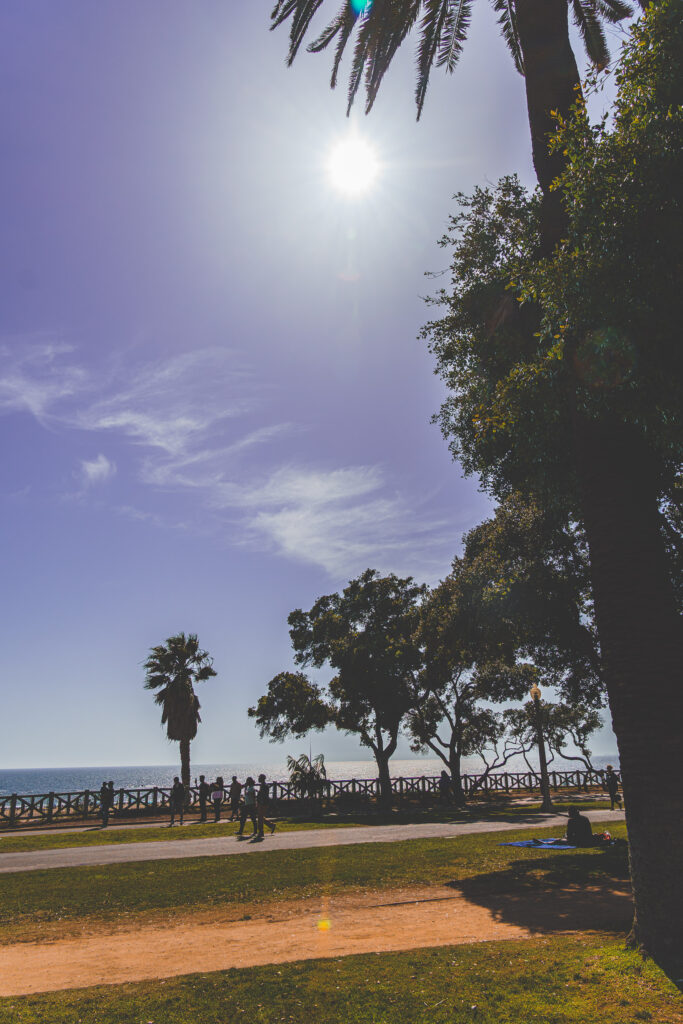 EnviraGallery-usatrip2022-17. April 2022 - IRN06802-Verbessert-RR- 18.jpg