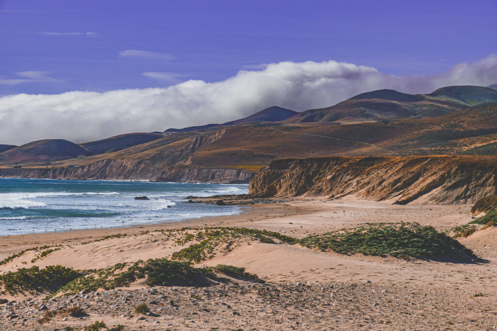 EnviraGallery-usatrip2022-19. April 2022 - IRN06910-Verbessert-RR-1-Bearbeitet- 19.jpg