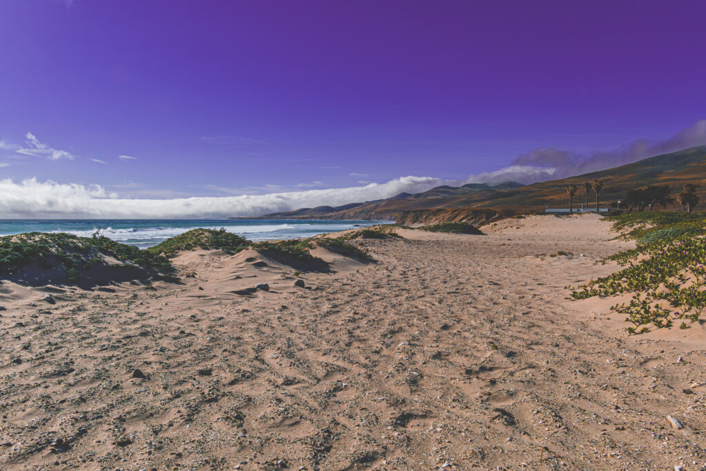 EnviraGallery-usatrip2022-19. April 2022 - IRN06911-Verbessert-RR- 20.jpg