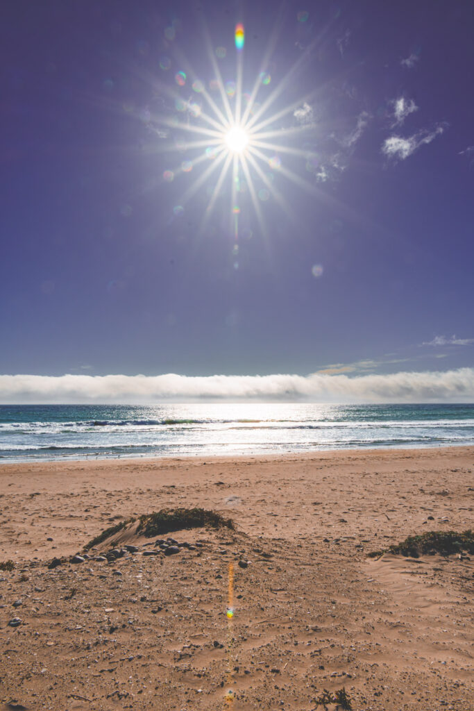 EnviraGallery-usatrip2022-19. April 2022 - IRN06913-Verbessert-RR- 21.jpg