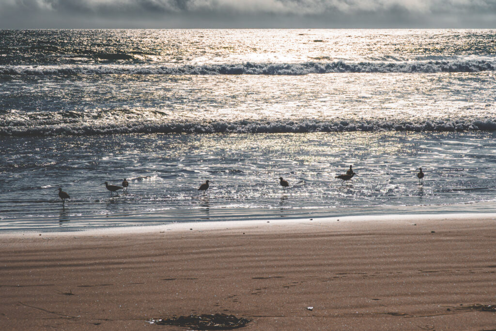 EnviraGallery-usatrip2022-19. April 2022 - IRN06919-Verbessert-RR- 23.jpg