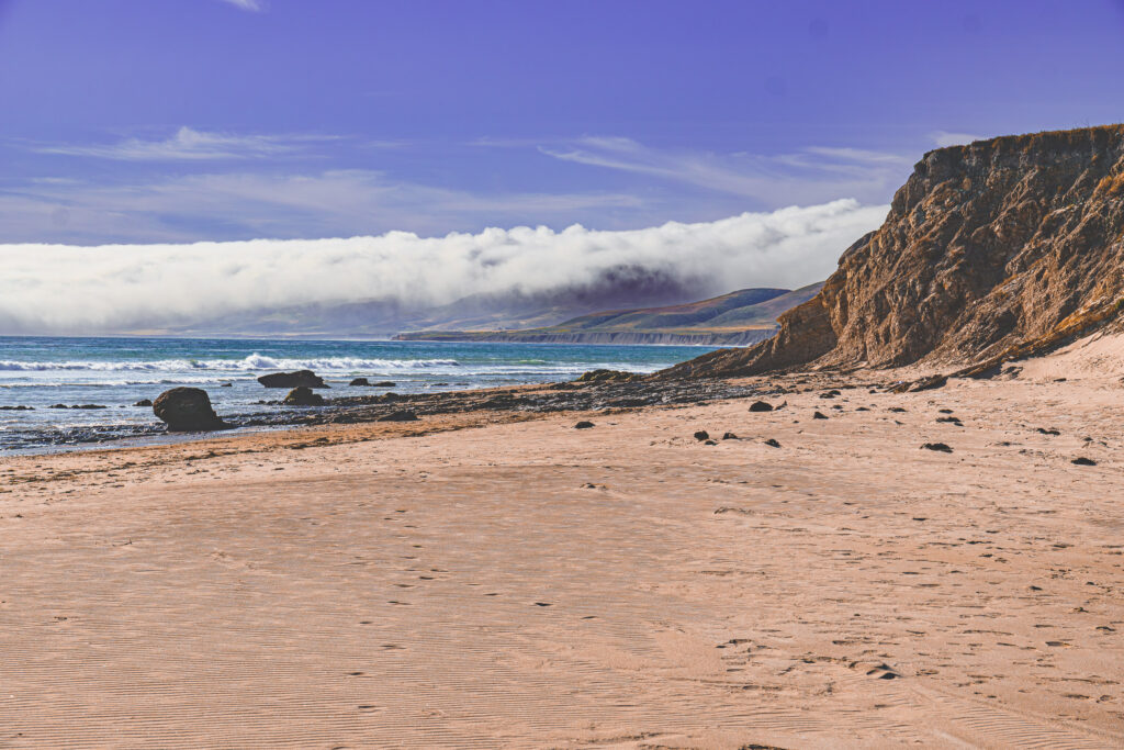 EnviraGallery-usatrip2022-19. April 2022 - IRN06931-Verbessert-RR- 24.jpg