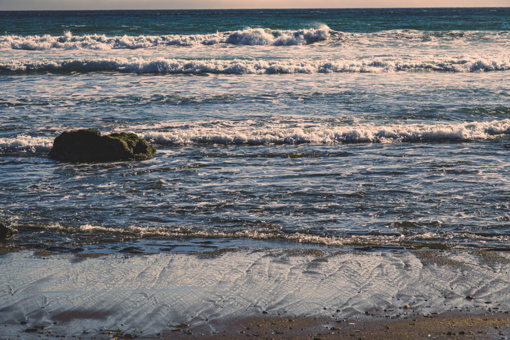 EnviraGallery-usatrip2022-19. April 2022 - IRN06934-Verbessert-RR- 25.jpg