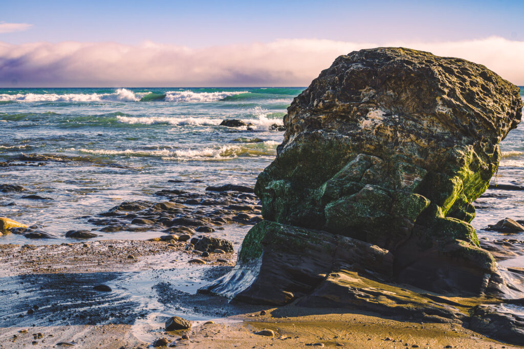 EnviraGallery-usatrip2022-19. April 2022 - IRN06935-Verbessert-RR- 26.jpg