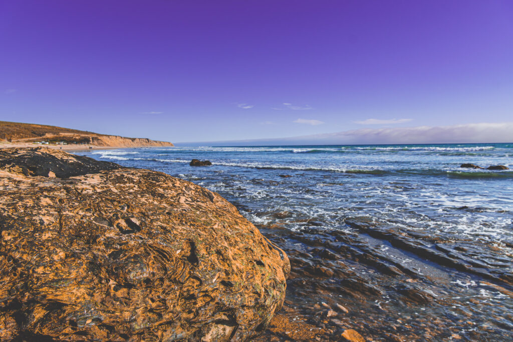 EnviraGallery-usatrip2022-19. April 2022 - IRN06939-Verbessert-RR- 27.jpg