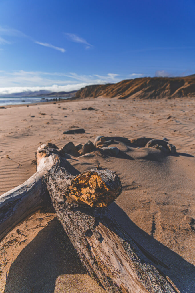 EnviraGallery-usatrip2022-19. April 2022 - IRN06943-Verbessert-RR- 30.jpg