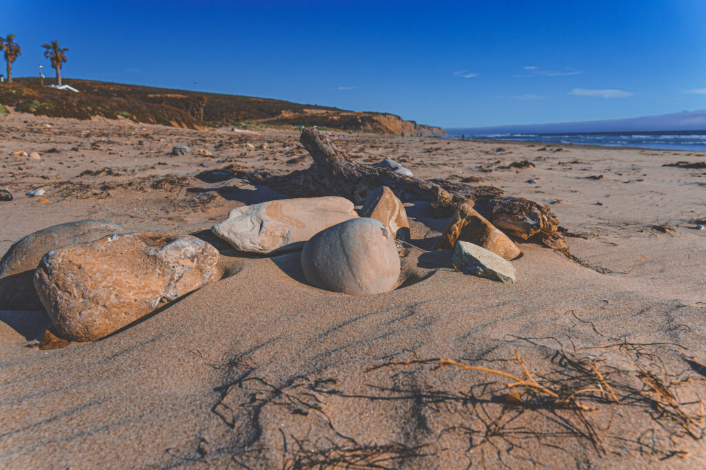 EnviraGallery-usatrip2022-19. April 2022 - IRN06944-Verbessert-RR- 31.jpg