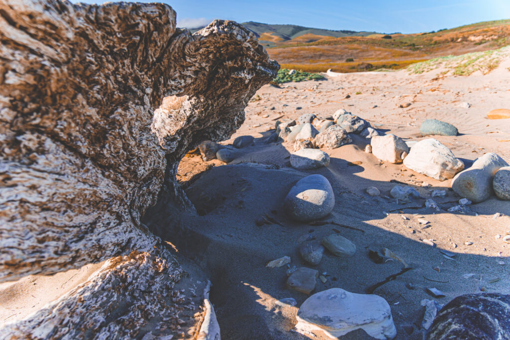 EnviraGallery-usatrip2022-19. April 2022 - IRN06948-Verbessert-RR- 01.jpg