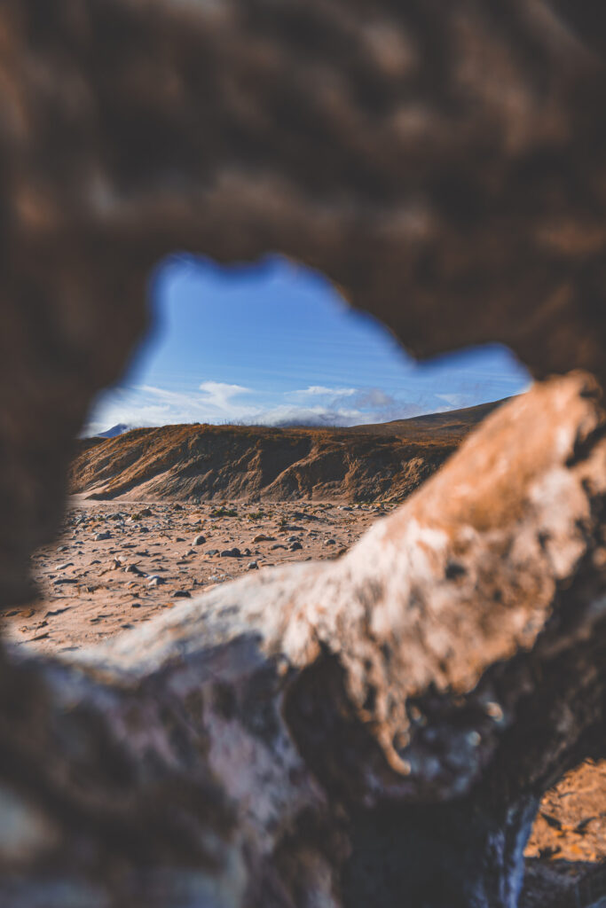 EnviraGallery-usatrip2022-19. April 2022 - IRN06949-Verbessert-RR- 33.jpg