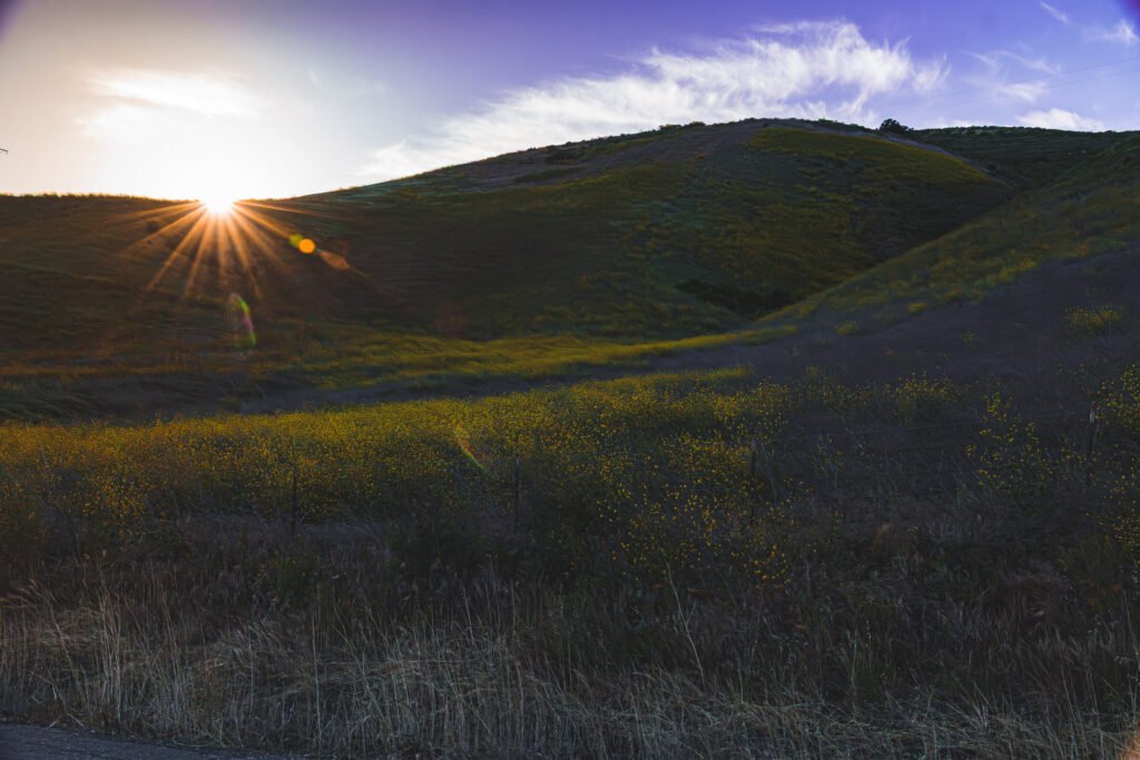 EnviraGallery-usatrip2022-19. April 2022 - IRN06963-Verbessert-RR- 43.jpg