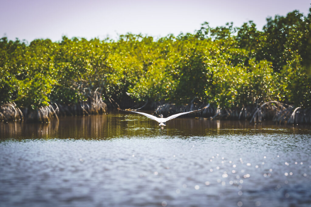 EnviraGallery-usatrip2022-19. März 2022 - IRN04949-Verbessert-RR- 16.jpg