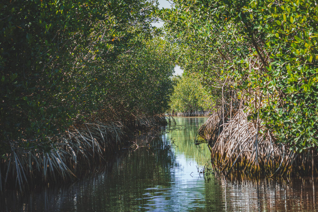 EnviraGallery-usatrip2022-19. März 2022 - IRN04962-Verbessert-RR- 17.jpg