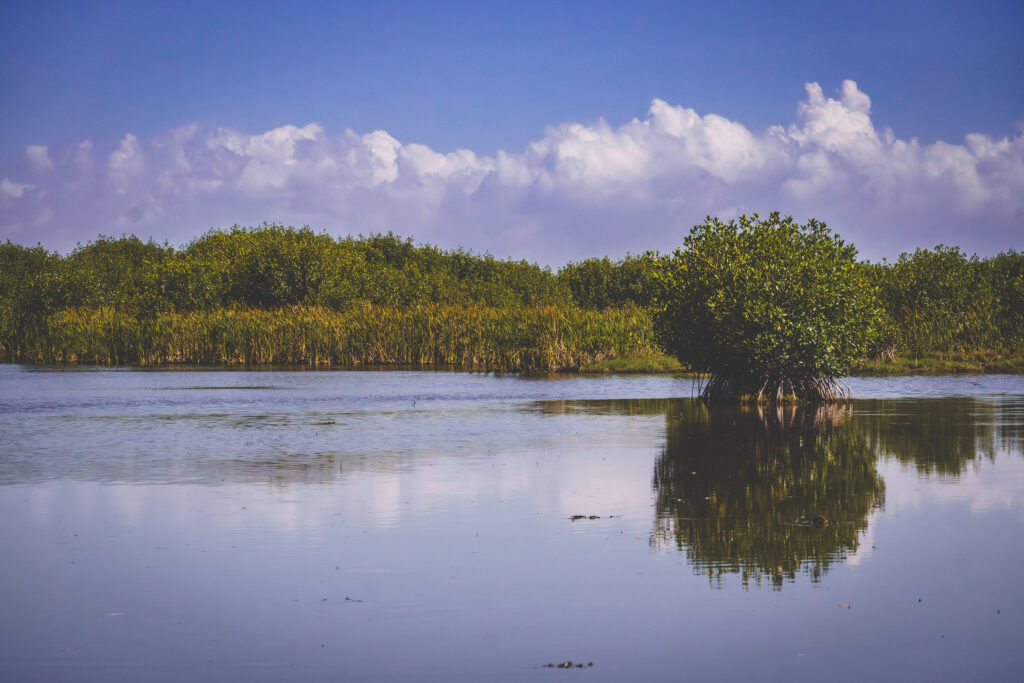 EnviraGallery-usatrip2022-19. März 2022 - IRN04982-Verbessert-RR- 21.jpg