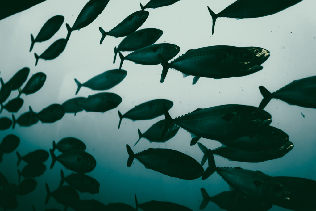 EnviraGallery-usatrip2022-21. April 2022 - IRN07167-Verbessert-RR- 14.jpg