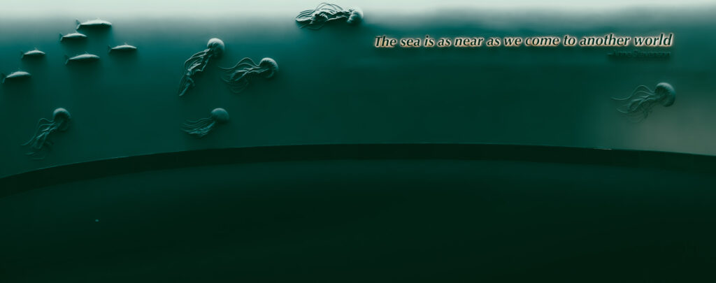 EnviraGallery-usatrip2022-21. April 2022 - IRN07188-Verbessert-RR- 19.jpg