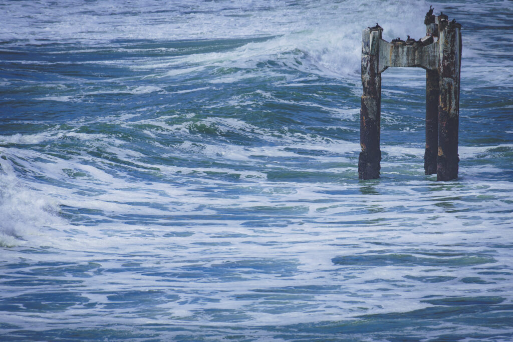 EnviraGallery-usatrip2022-21. April 2022 - IRN07206-Bearbeitet- 25.jpg