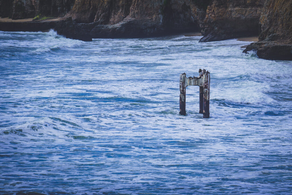 EnviraGallery-usatrip2022-21. April 2022 - IRN07207-Bearbeitet- 26.jpg