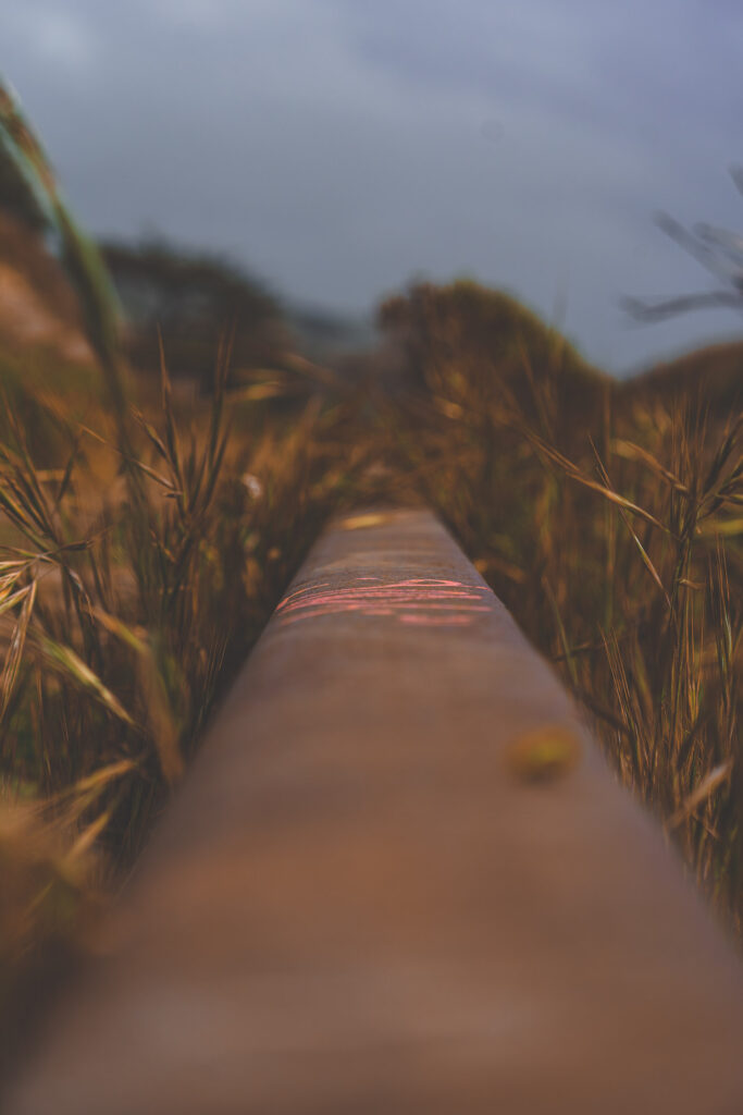 EnviraGallery-usatrip2022-21. April 2022 - IRN07250-Verbessert-RR- 36.jpg