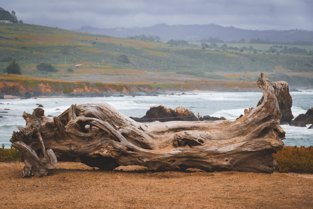 EnviraGallery-usatrip2022-21. April 2022 - IRN07258-Verbessert-RR- 40.jpg