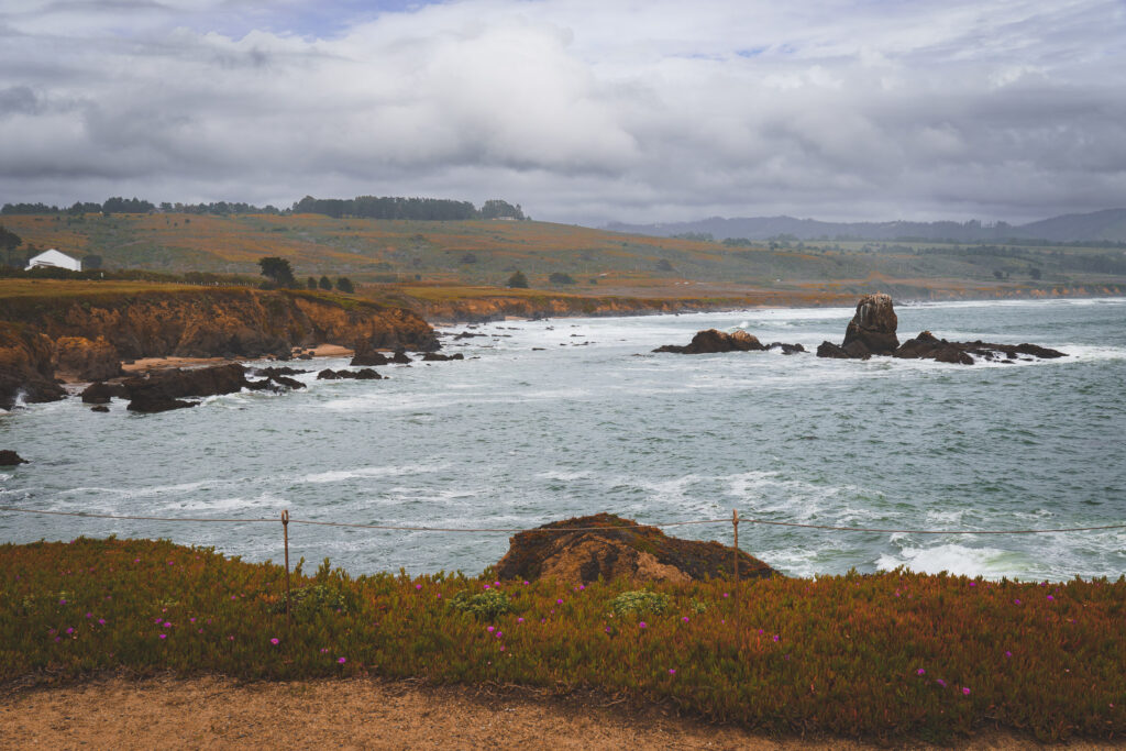 EnviraGallery-usatrip2022-21. April 2022 - IRN07259-Verbessert-RR- 41.jpg