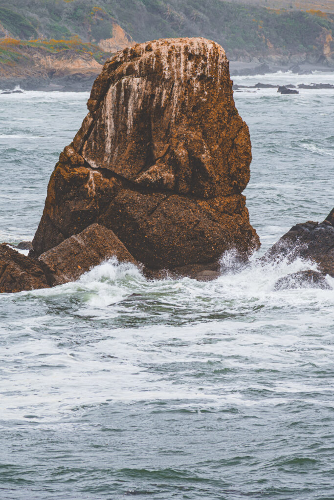 EnviraGallery-usatrip2022-21. April 2022 - IRN07264-Verbessert-RR- 45.jpg