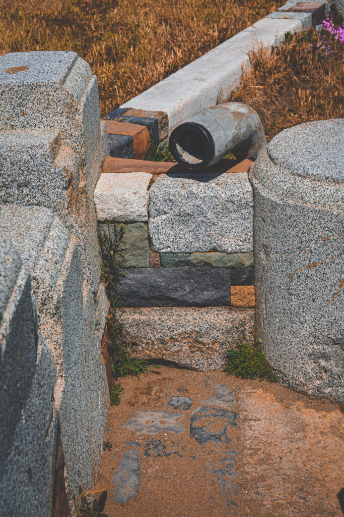 EnviraGallery-usatrip2022-23. April 2022 - IRN07305-Verbessert-RR- 17.jpg