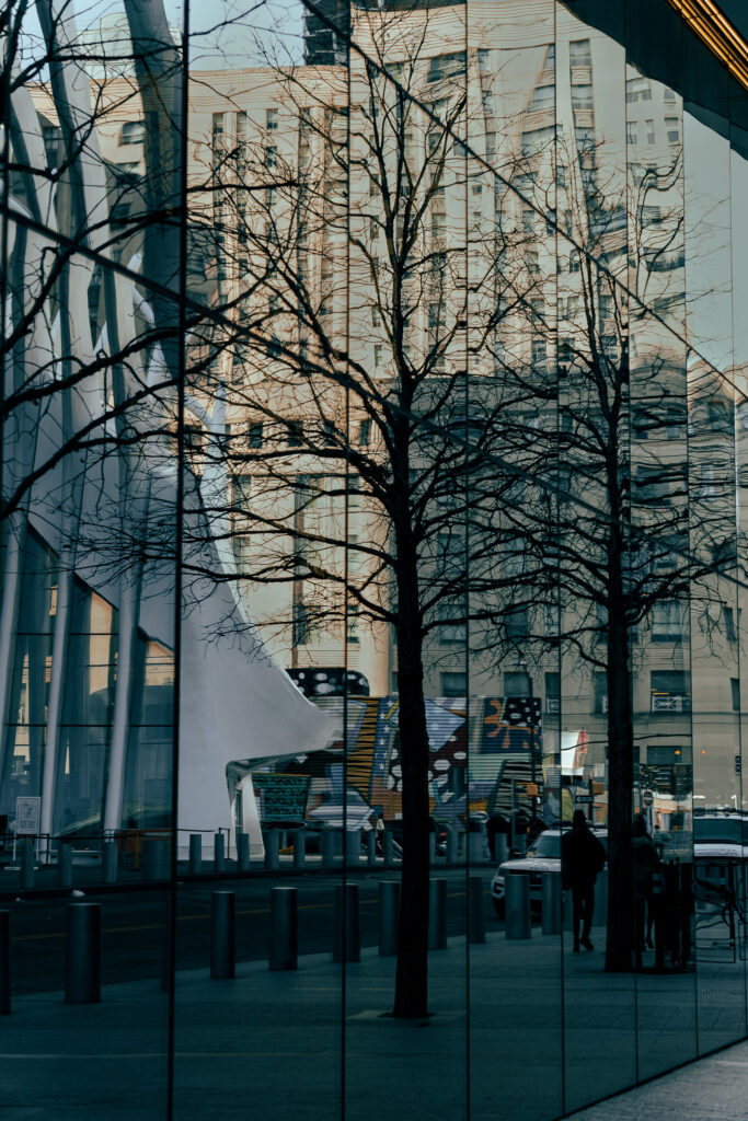 EnviraGallery-usatrip2022-27. Februar 2022 - IRN03508-Verbessert-RR- 20.jpg