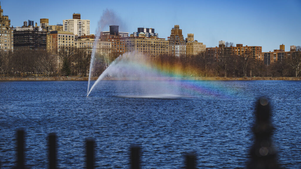 EnviraGallery-usatrip2022-28. Februar 2022 - IRN03673- 02.jpg