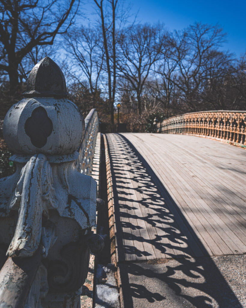 EnviraGallery-usatrip2022-28. Februar 2022 - IRN03675- 04.jpg