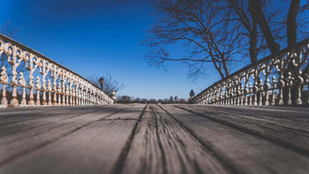 EnviraGallery-usatrip2022-28. Februar 2022 - IRN03678- 05.jpg