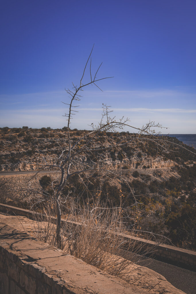 EnviraGallery-usatrip2022-31. März 2022 - IRN05521-Verbessert-RR- 14.jpg